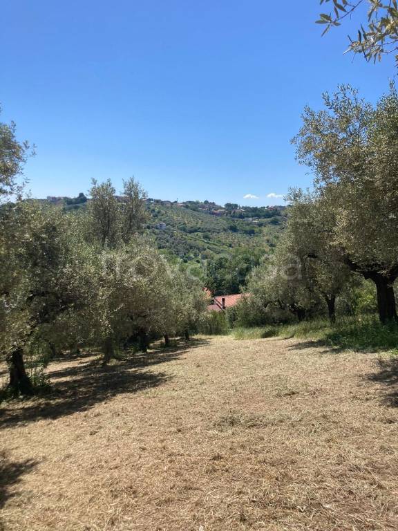 immagine annuncio 7 di 9