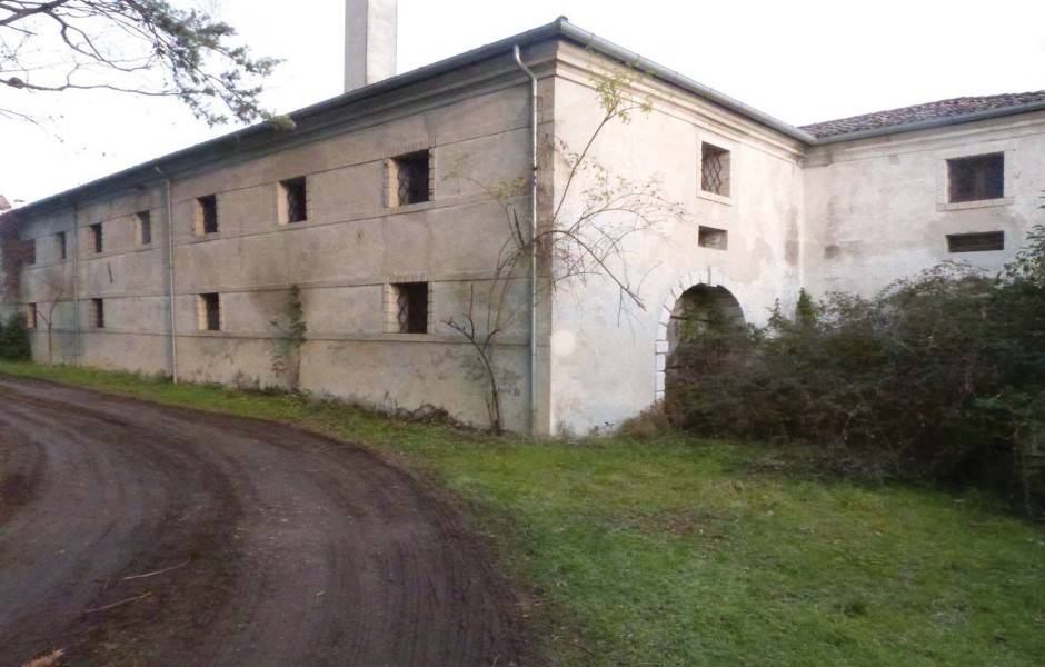 immagine annuncio 3 di 7
