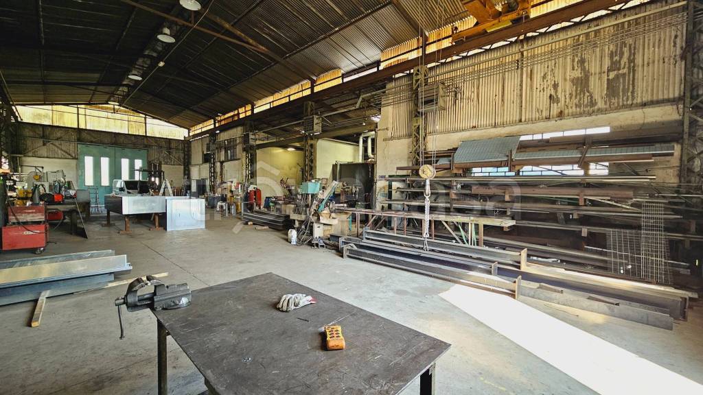 immagine annuncio 9 di 15