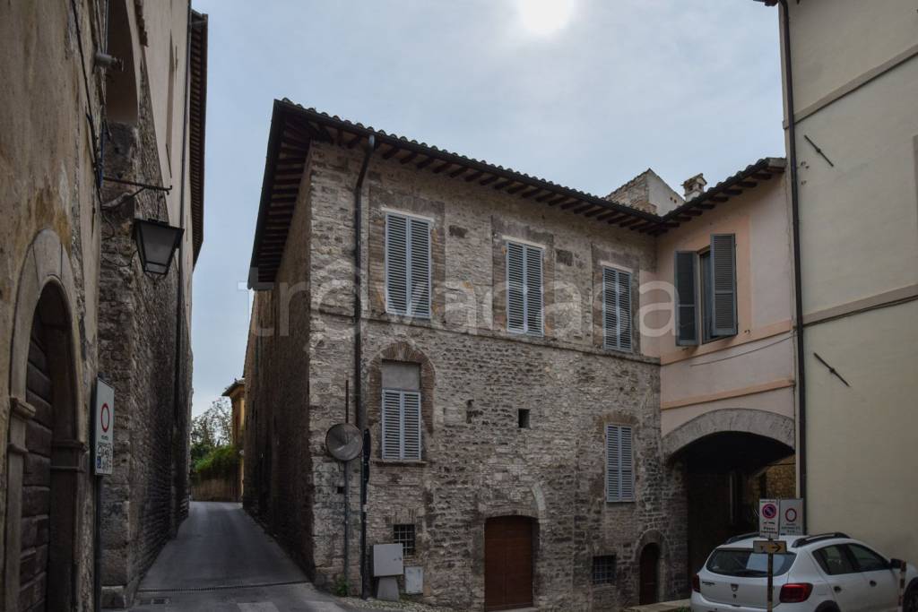 immagine annuncio 9 di 14