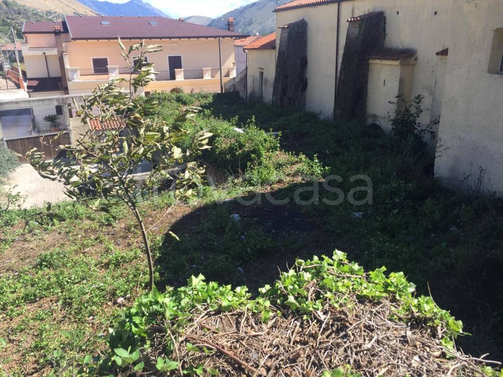 immagine annuncio 2 di 14