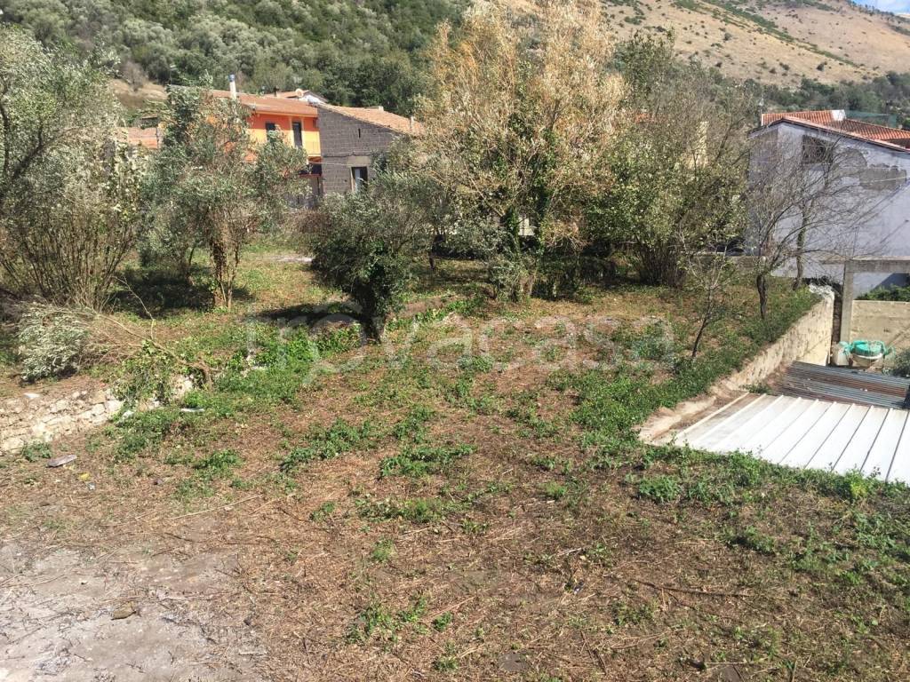 immagine annuncio 6 di 14