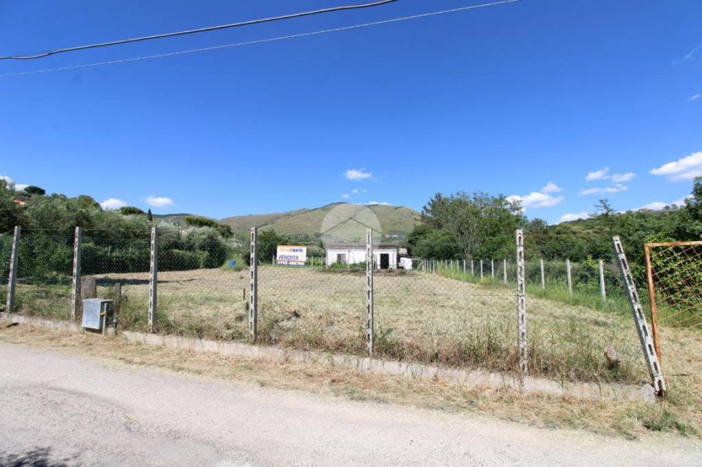 immagine annuncio 6 di 13