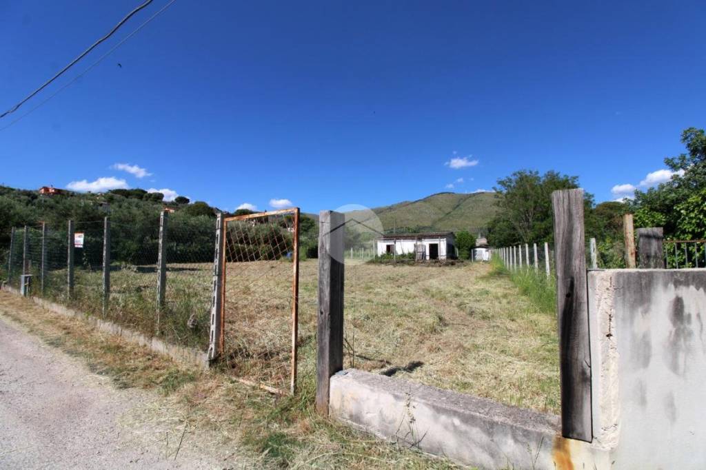 immagine annuncio 7 di 13