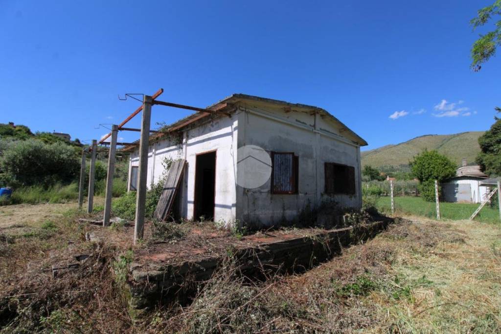 immagine annuncio 8 di 13