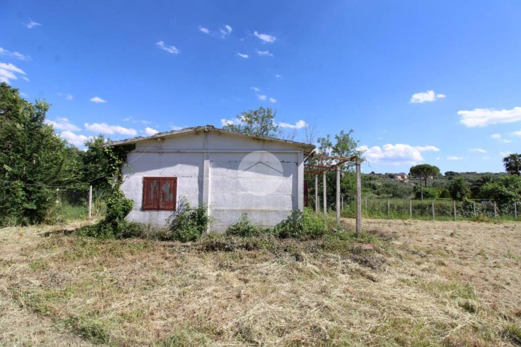 immagine annuncio 10 di 13