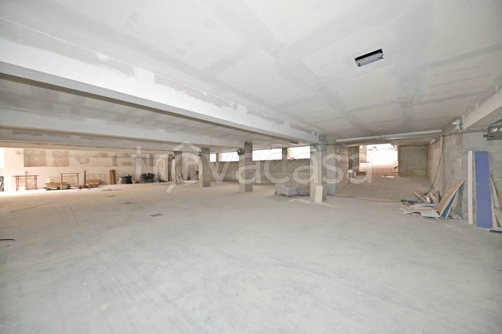 immagine annuncio 10 di 12