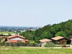 immagine annuncio 3 di 8