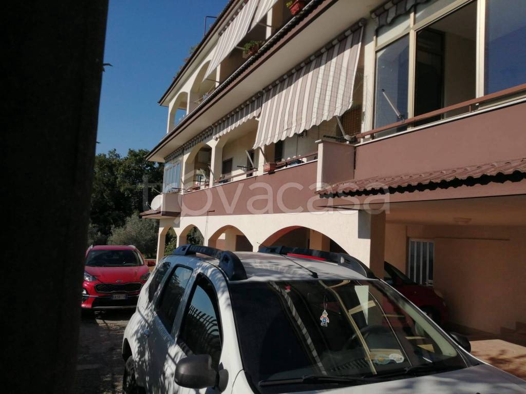 immagine annuncio 1 di 14