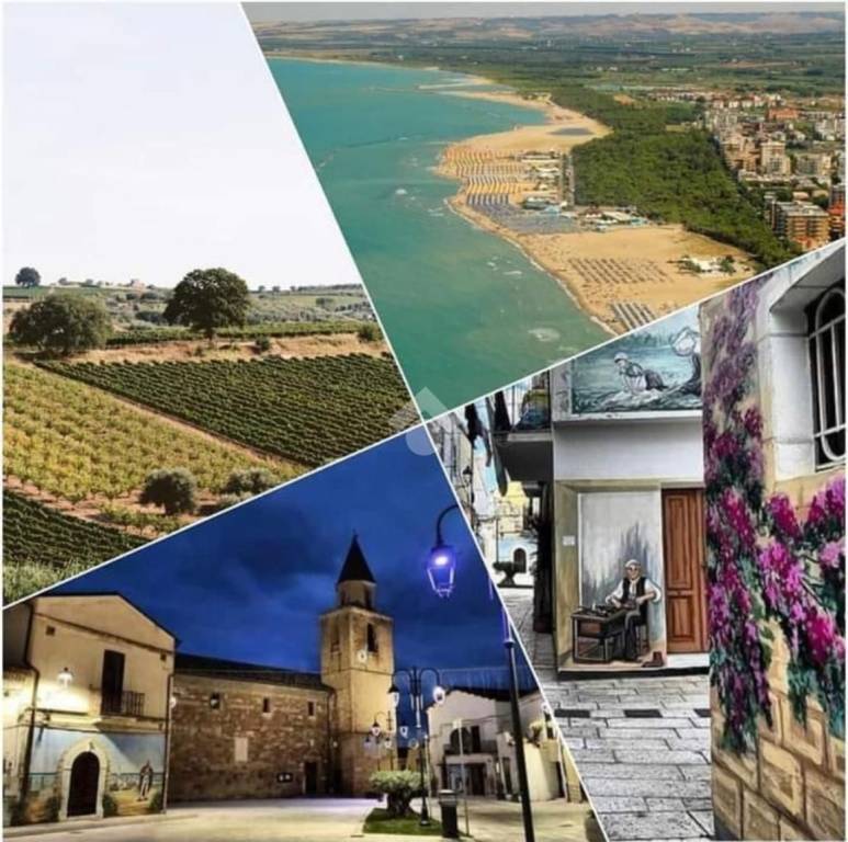 immagine annuncio 2 di 10