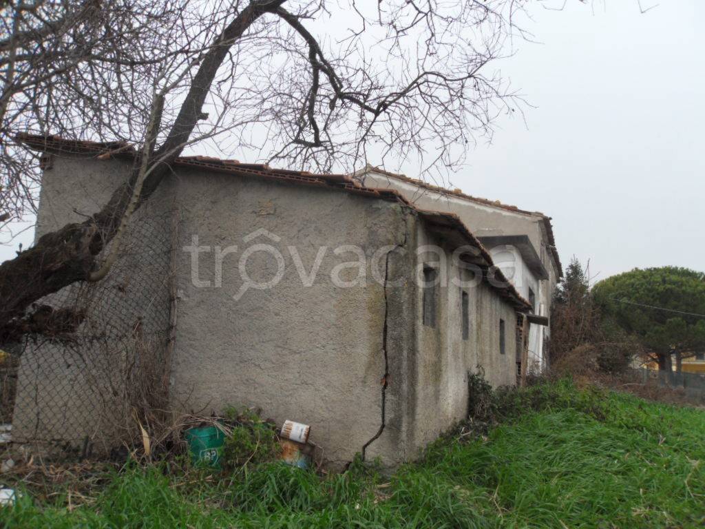 immagine annuncio 4 di 7