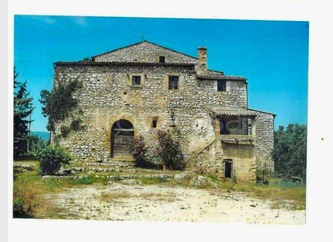 immagine annuncio 3 di 8