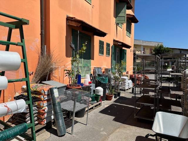immagine annuncio 6 di 9