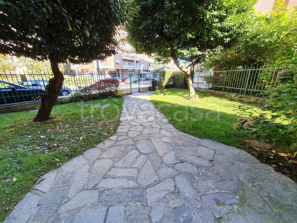 immagine annuncio 5 di 15