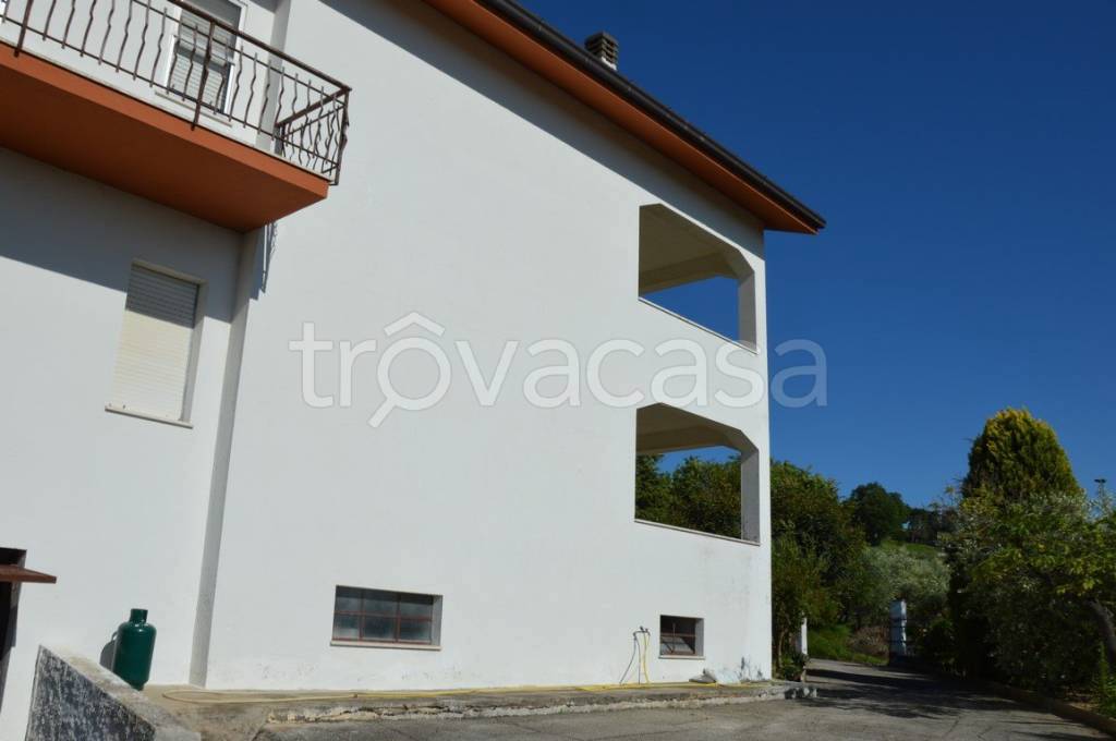 immagine annuncio 12 di 13