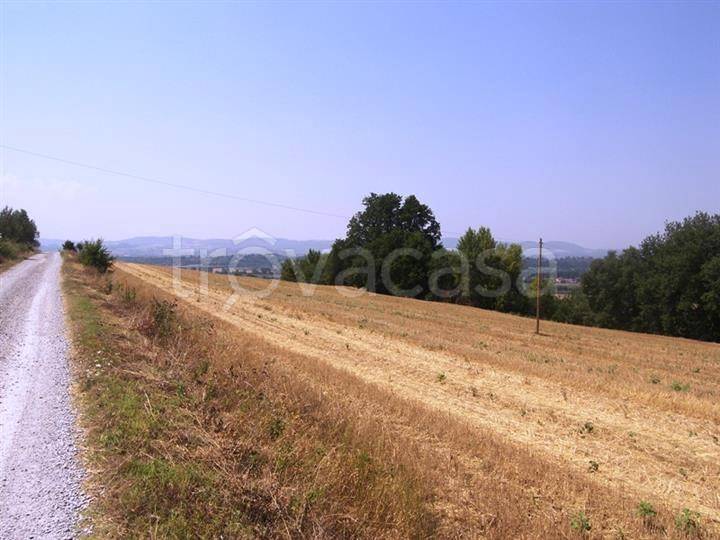 immagine annuncio 4 di 6
