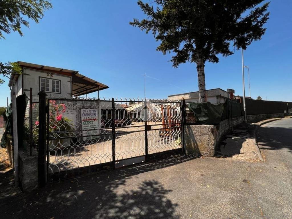 immagine annuncio 13 di 15