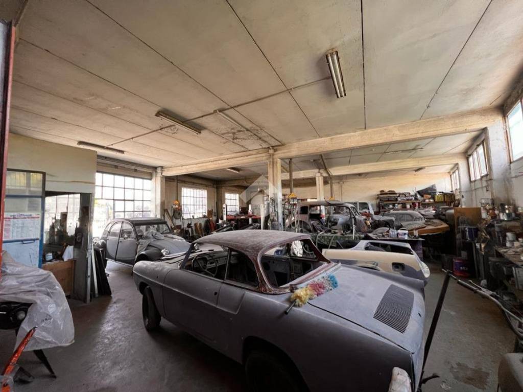 immagine annuncio 11 di 15