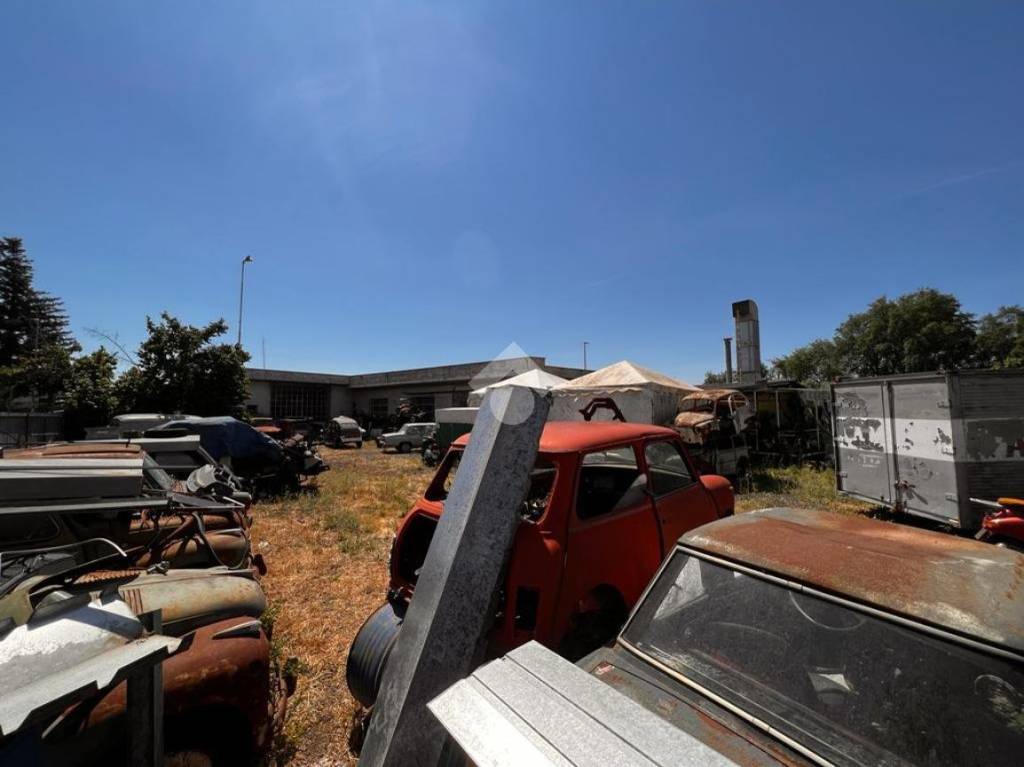 immagine annuncio 10 di 15