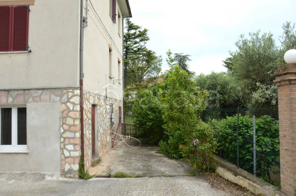 immagine annuncio 5 di 8