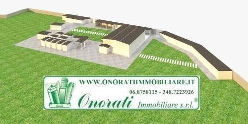 immagine annuncio 3 di 14