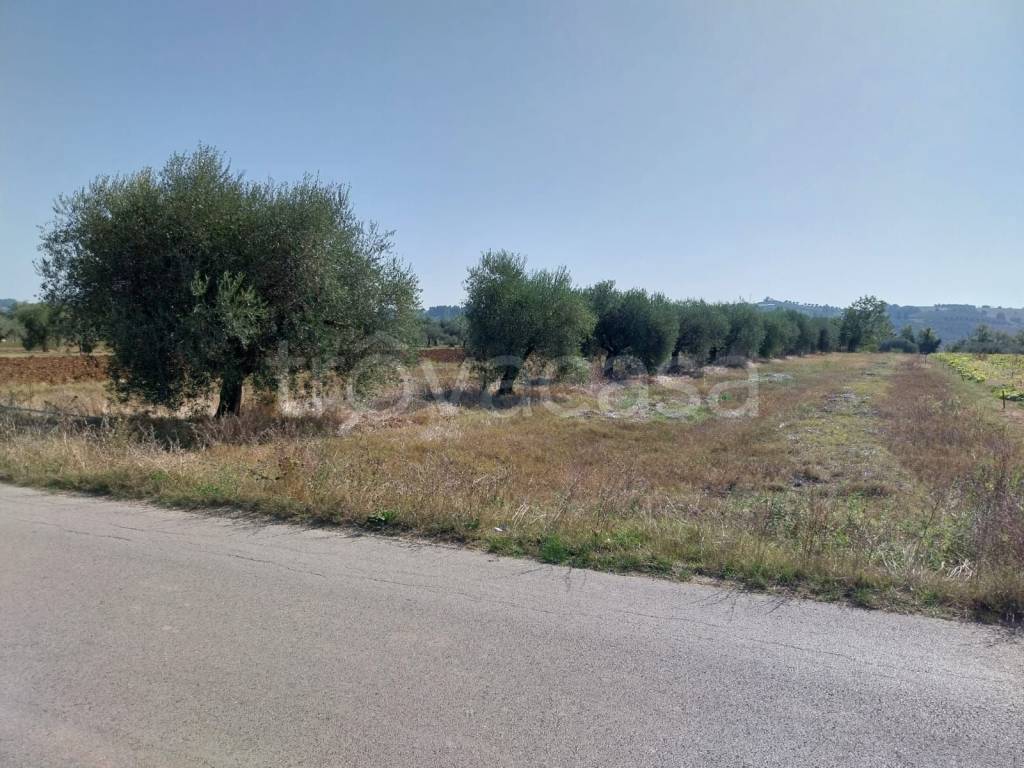 immagine annuncio 4 di 7
