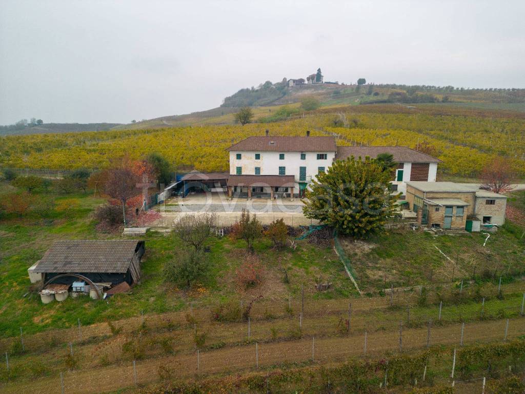 immagine annuncio 7 di 14