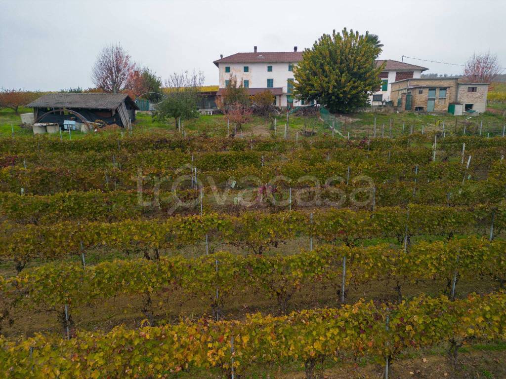 immagine annuncio 9 di 14