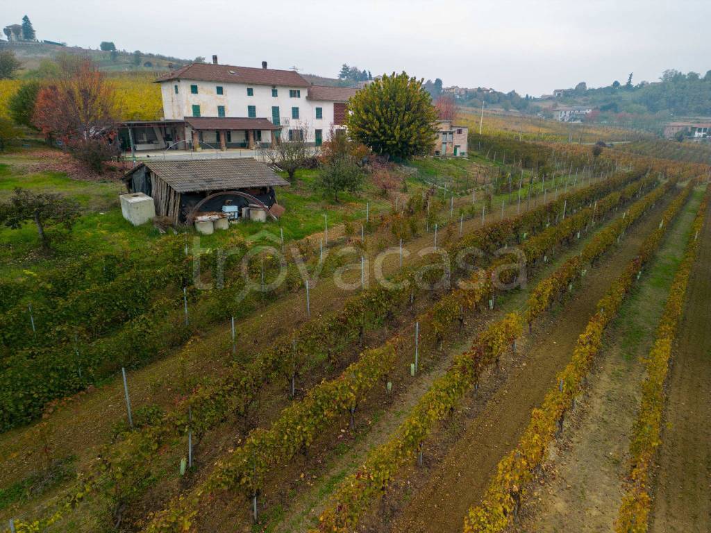 immagine annuncio 10 di 14