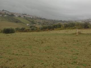 Terreno agricolo in vendita a fermo strada provinciale castiglionese