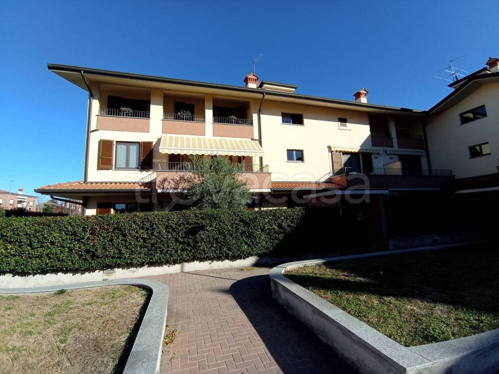 immagine annuncio 2 di 15
