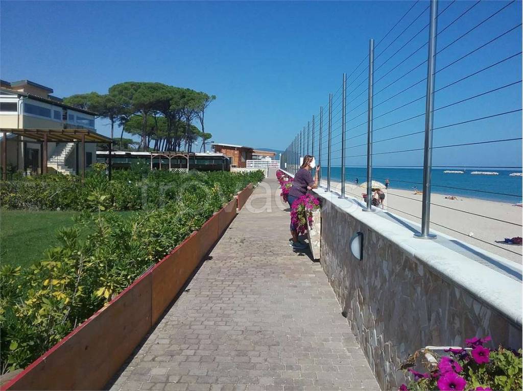immagine annuncio 10 di 14
