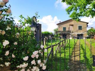 Villa in in vendita da privato a pitigliano via dei castagni, 110