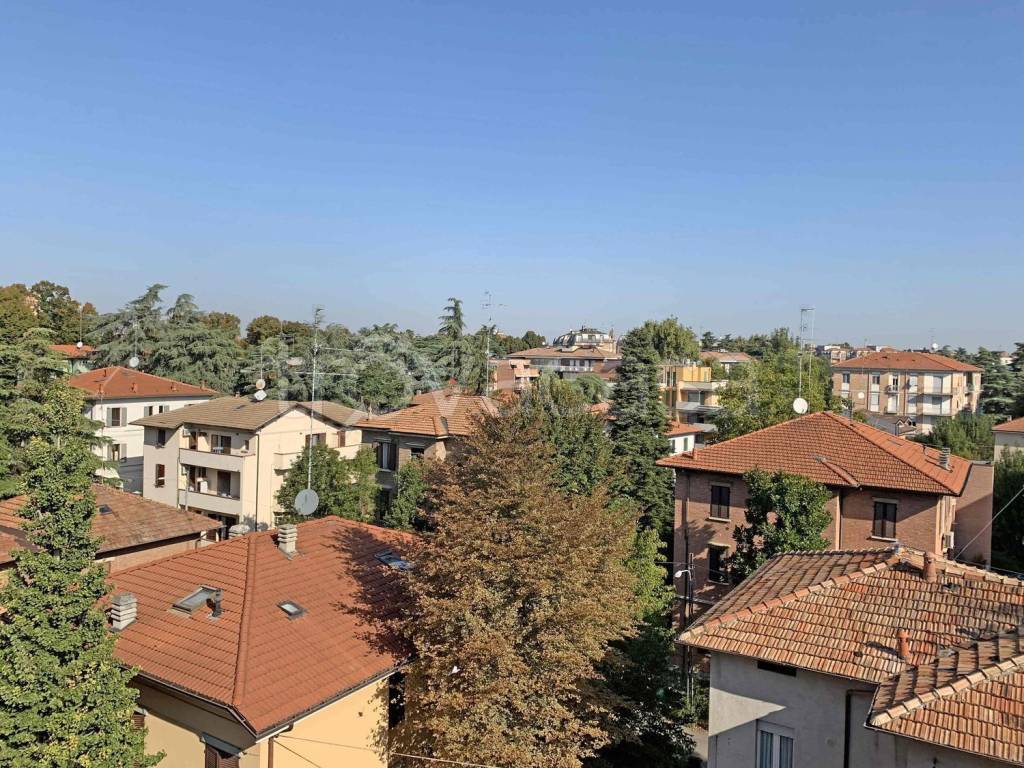 immagine annuncio 11 di 14