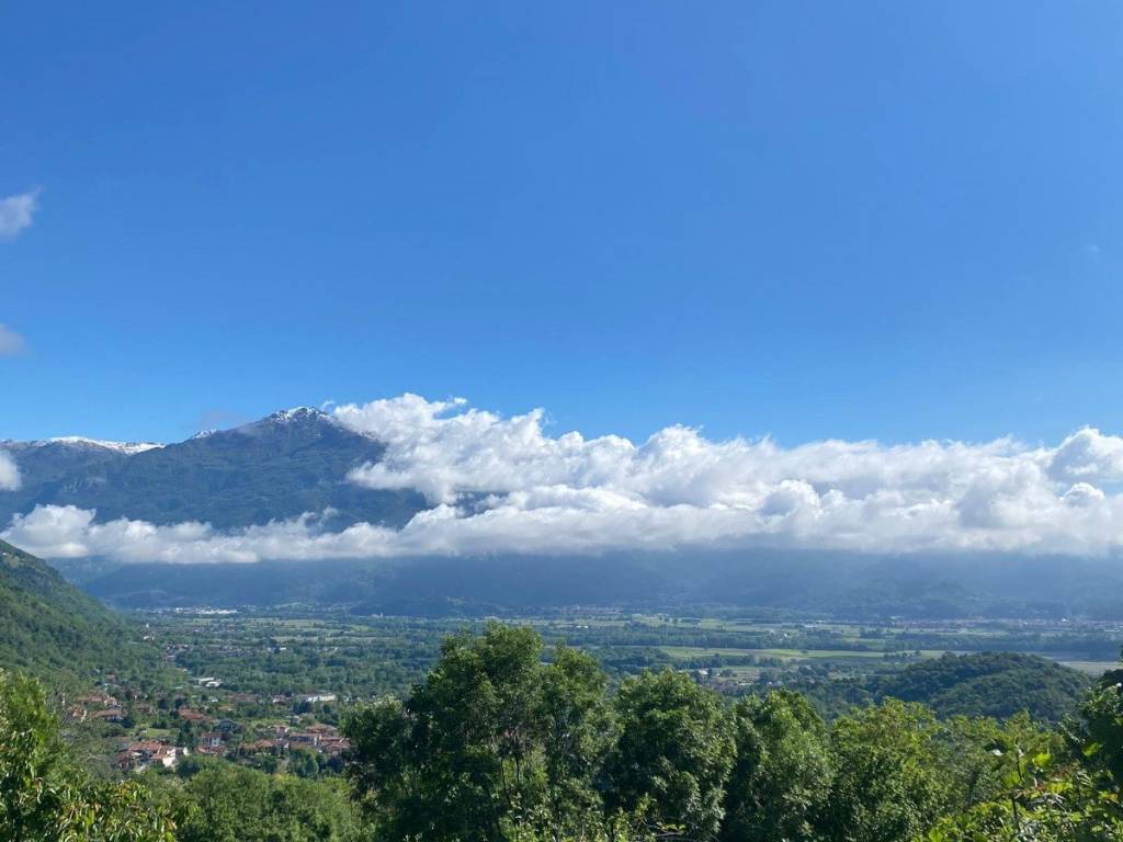 immagine annuncio 5 di 8