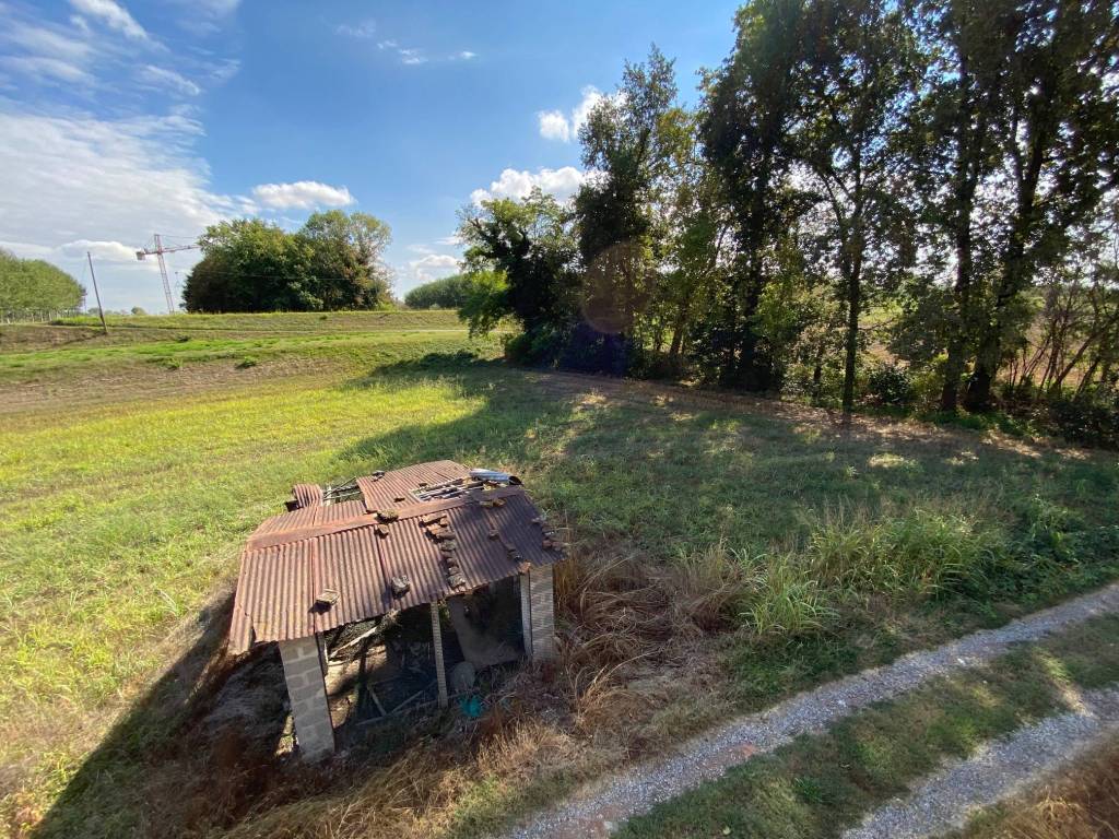 immagine annuncio 9 di 15