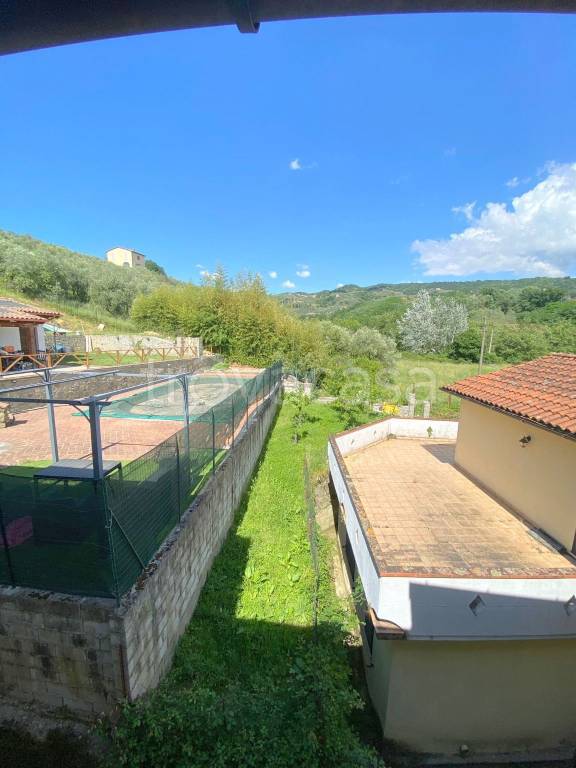 immagine annuncio 10 di 12