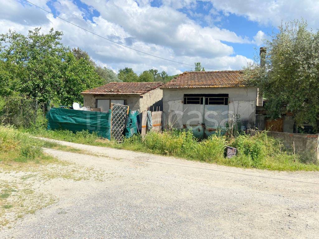 immagine annuncio 11 di 12