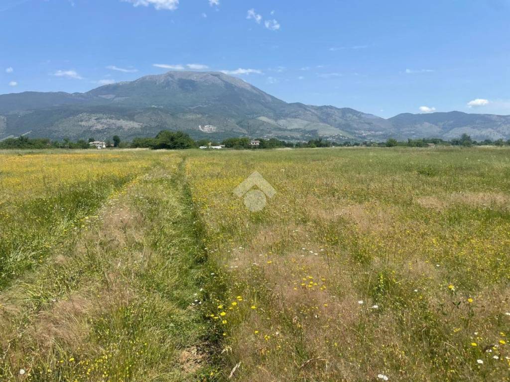 immagine annuncio 10 di 12