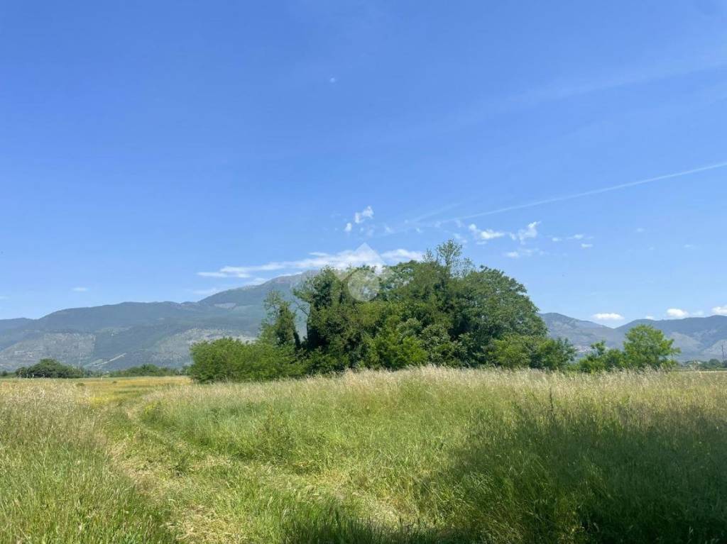 immagine annuncio 8 di 12