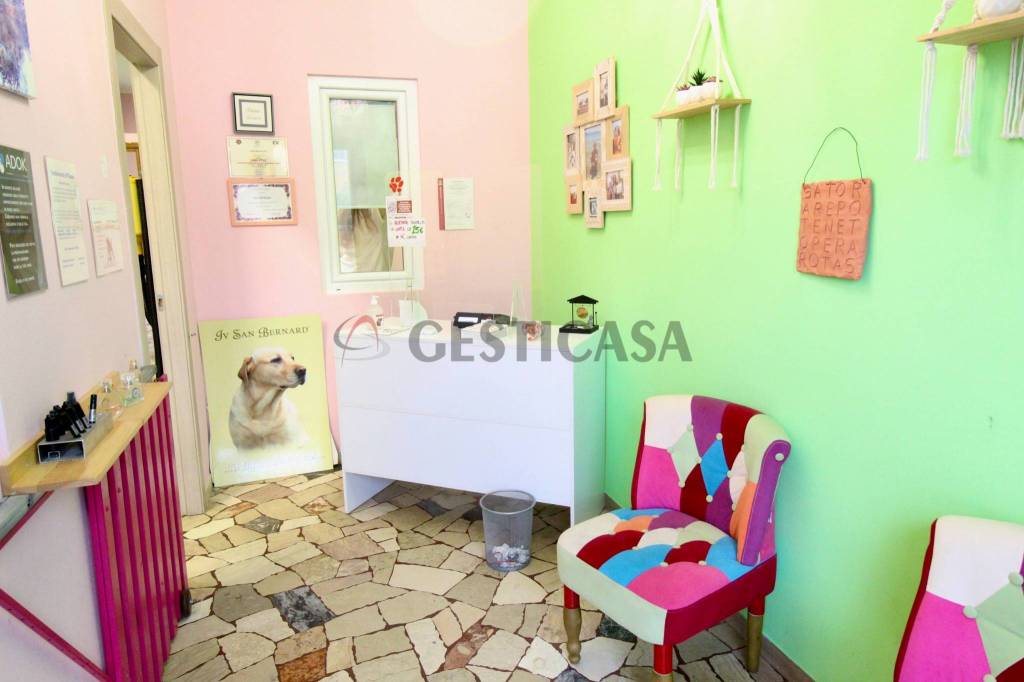 immagine annuncio 2 di 11