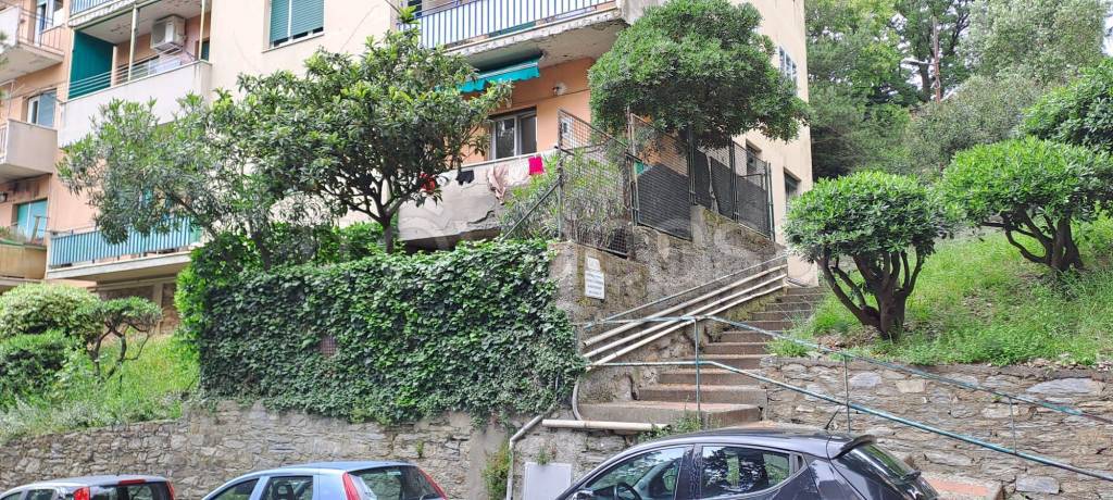 immagine annuncio 2 di 8