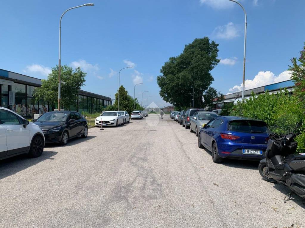 immagine annuncio 3 di 14