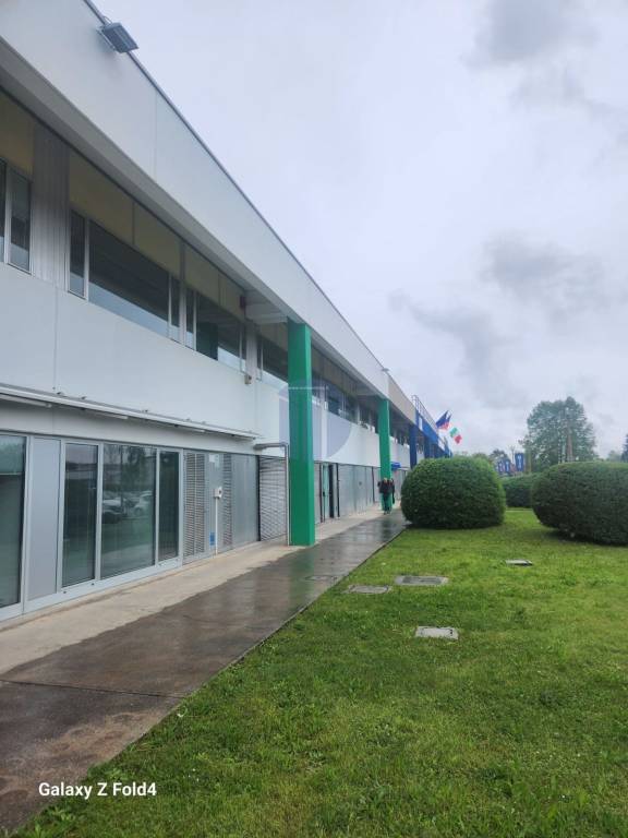 immagine annuncio 11 di 13