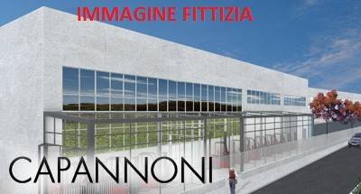 immagine annuncio 6 di 7