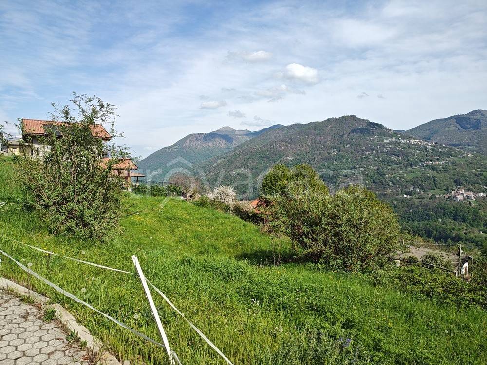 immagine annuncio 3 di 13
