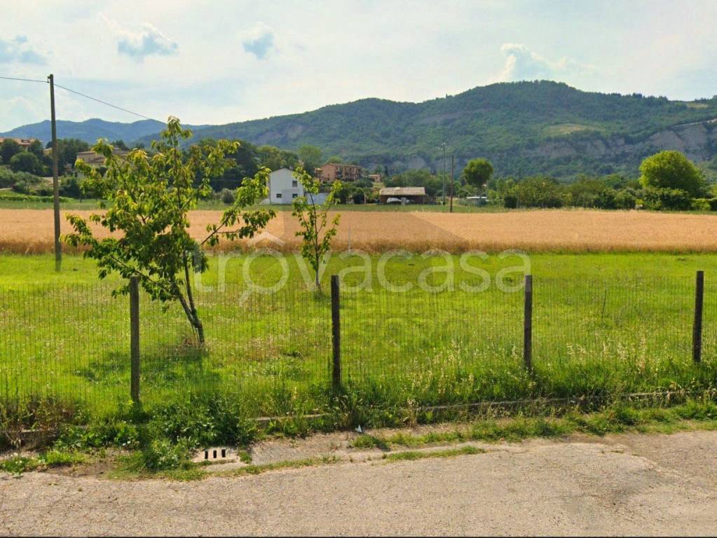 immagine annuncio 2 di 6