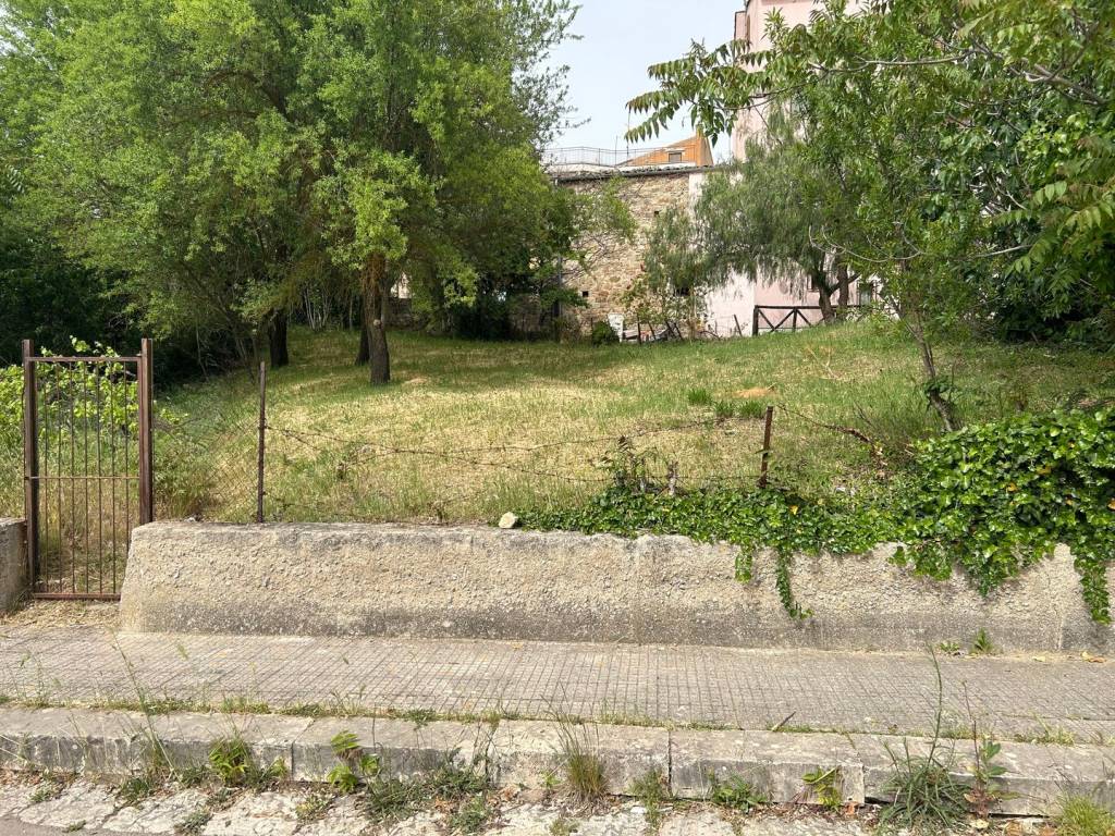 immagine annuncio 2 di 6