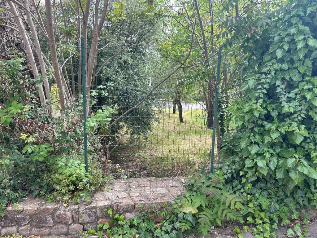 immagine annuncio 3 di 6