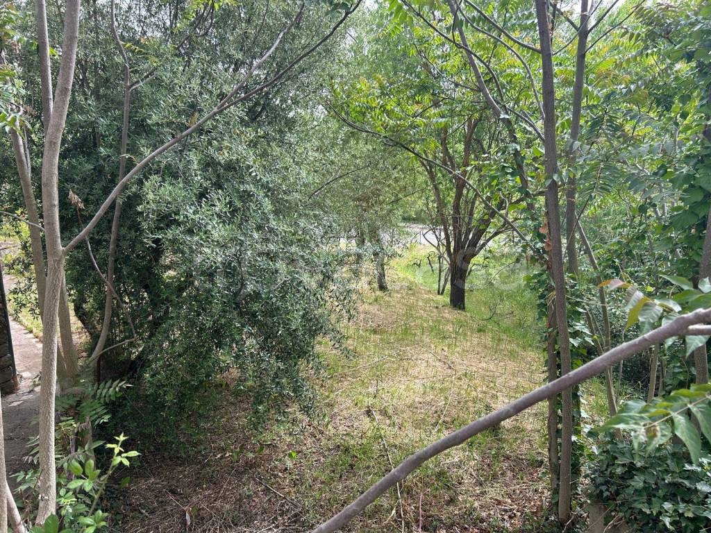 immagine annuncio 4 di 6